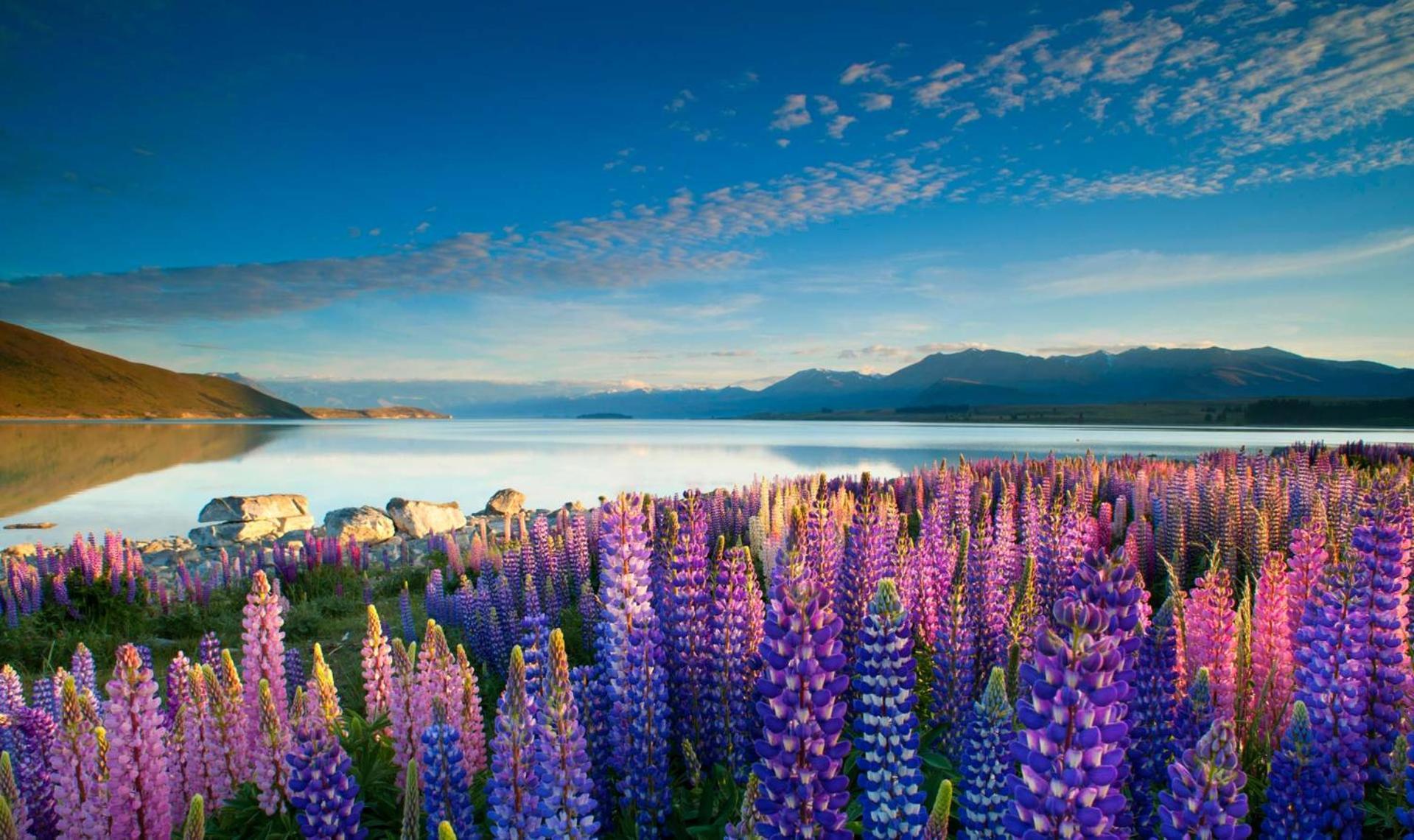 Tekapo1929 Lakefront Villa Lago Tékapo Exterior foto